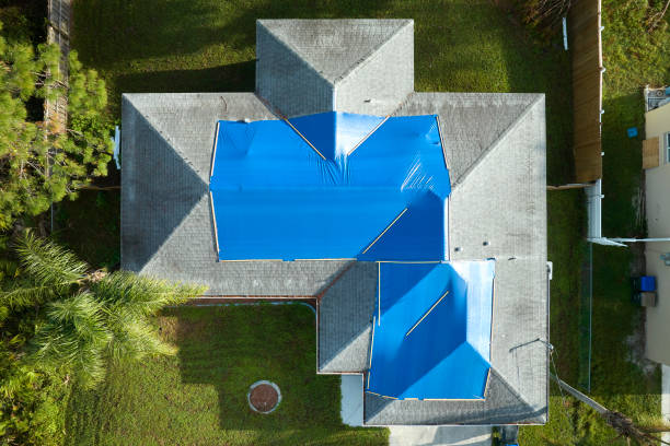 Best Chimney Flashing Repair  in Blackshear, GA