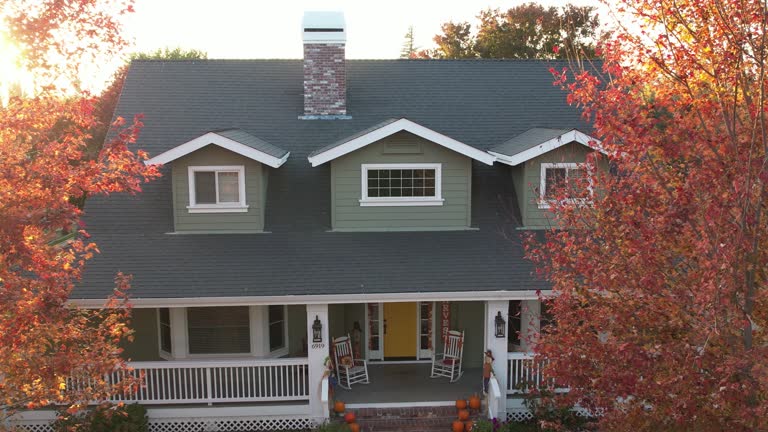 Best Green or Eco-Friendly Roofing Solutions  in Blackshear, GA