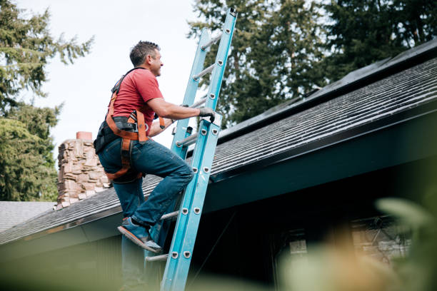 Best Metal Roofing Installation  in Blackshear, GA